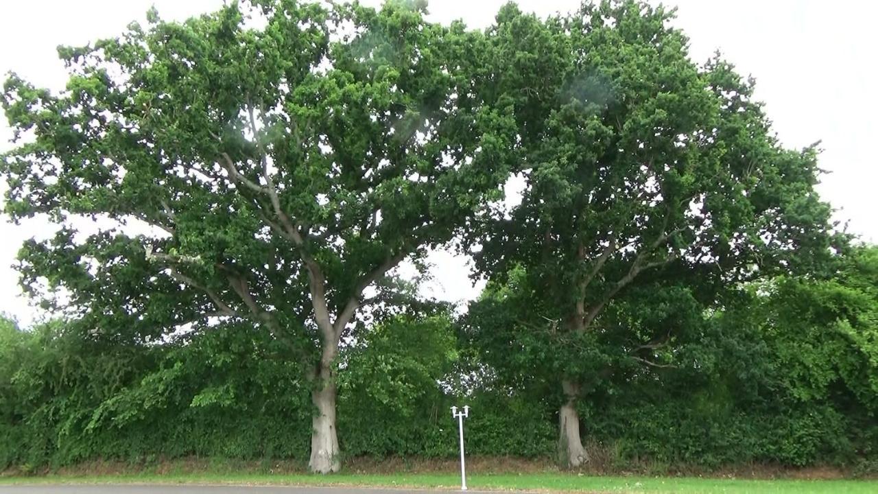Готель Les Grands Chenes Remilly-les-Marais Екстер'єр фото